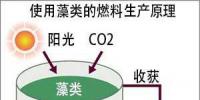 日本将推出以藻类为原料的航空生物燃料