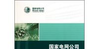 国家电网公司信息系统安全运行题解