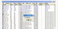 计算机病毒常用分析方法