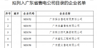 广东:公布第五批列入售电公司目录企业 两家公司需补充材料