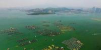 绿色风能与海洋生态渔业融合发展在南通破题