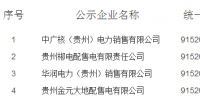 贵州新公示4家售电公司
