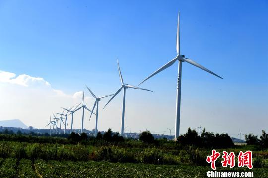 莆田沿海整齐的风力发电设备。　王东明 摄