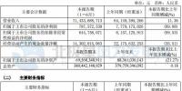 华能国际:2017上半年实现权益利润7.88亿元 风电装机超3800兆瓦