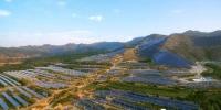 山西芮城:以一县之力搏光伏领跑地位