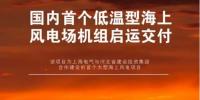 国内首个低温型海上风电场机组启运交付的背后
