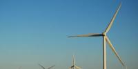 风能成美最廉价电力来源