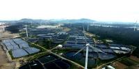 福建加速迈入清洁能源大省 装机占比升至54.3%