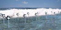 研究:大海风力发电场产生电力可望供应全球