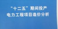 重磅丨11079个电力工程项目造价分析——国家<font color=