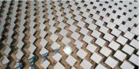 中国引领可再生能源市场40%份额 大于经合组织总额
