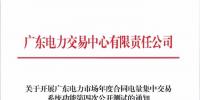 广东17日开展电力市场年度合同电量集中交易系统功能第四次公开测试