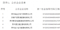 貴州新公示益正電力有限責(zé)任公司等5家<font color=