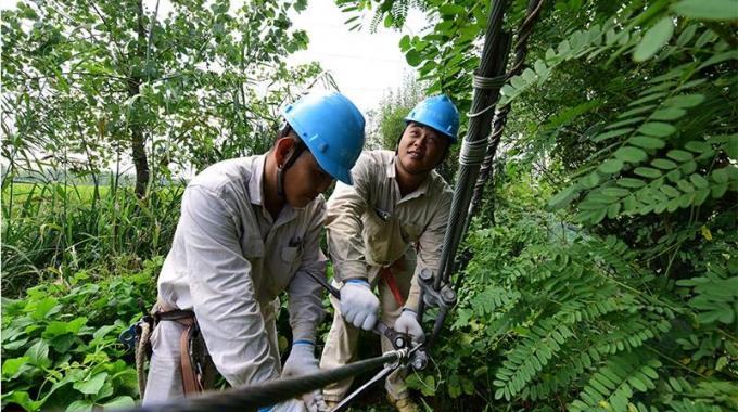 电线架到渔塘边 养殖用电不犯愁