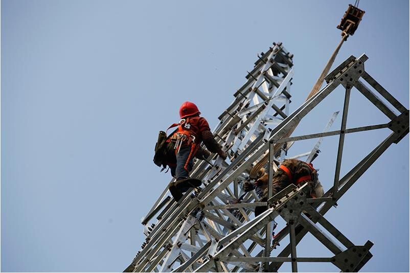 电网建设护航农业生产