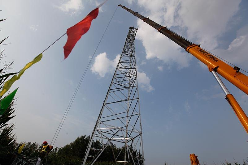 电网建设护航农业生产