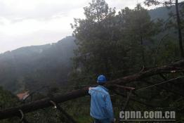 峨山供电：冒雨抢修复电