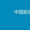 2017年中国新能源汽车行业年度报告