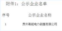 贵州新公示1家售电公司 贵州粤能电力销售有限公司