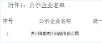 贵州新公示1家售电公司 贵州粤能电力销售有限公司