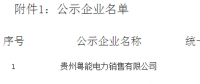 《关于贵州粤能电力销售有限公司注册成为贵州省电力自主交易市场主体相关信息的公示》