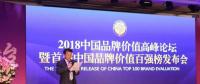 长江电力荣登2017年中国品牌价值百强榜