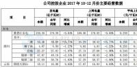 国投电力2017年发电量1289.49亿千瓦时 同比增长7.07%