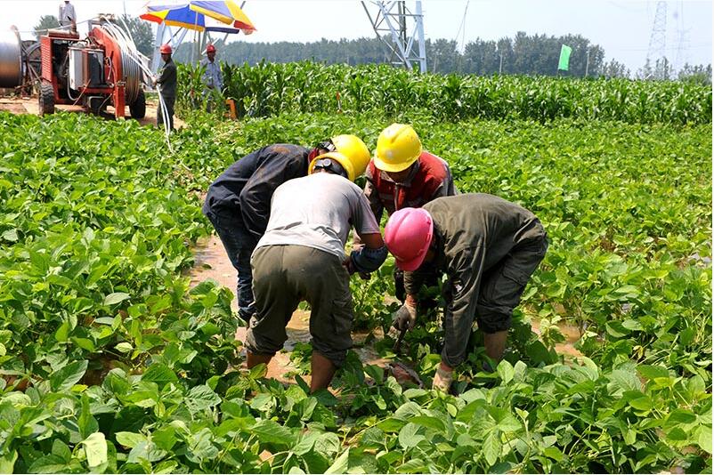 庆安——子仙220千伏线路工程正在放线