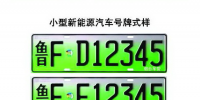 新能源车专用号牌在山东铺开 一月底前将全覆盖