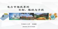 电力市场改革的目标、路径与手段