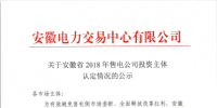 安徽新公示169家售電公司認定的投資主體