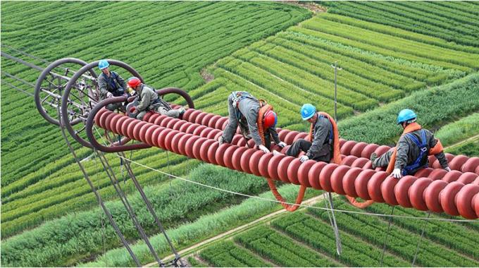 特高压线路“脊椎”手术大获成功