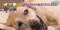 要让<font color=