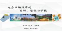 PPT | 电力市场改革的目标、路径与手段