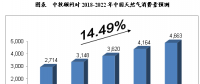 未来5年年中国天然气行业供需前景预测分析