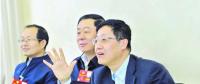 武钢：建议尽快出台可再生能源强制配额制考核管理办法