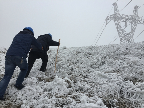  云南电网积极应对雨雪天气确保电网安全