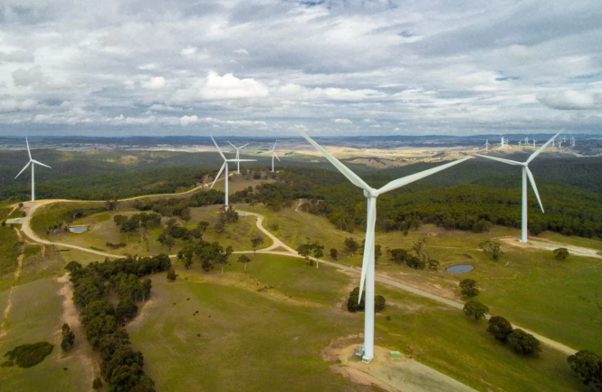 澳能源部长考察金风科技风光同场项目
