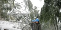 浙江电力启动预防雨雪冰冻<font color=