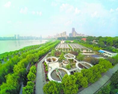 武汉最老城市污水处理厂明年或“退役”