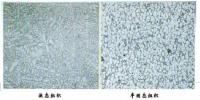 通信系统公司是如何看待半固态压铸技术在<font color=