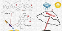 苏州大学马万里团队Adv. Funct. Mater.:共轭聚合物助力<font color=