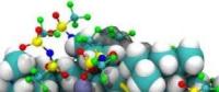 理论与实验结合建立一种新型聚合物锂硫电池