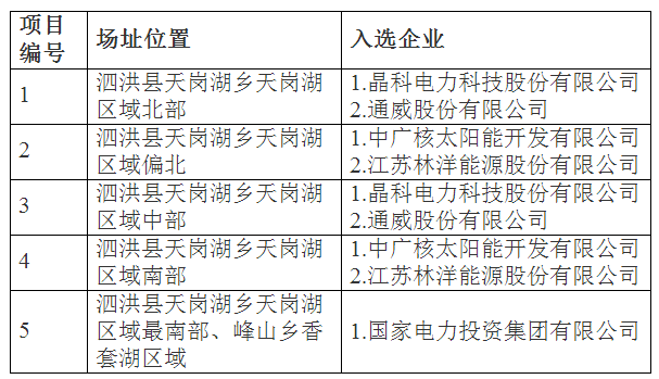 江苏泗洪光伏发电应用领跑基地入选企业名单