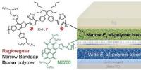 全聚合物非富勒烯叠层<font color=
