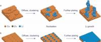 易放大且兼顾商业化 抑制锂枝晶新成果有望应用于锂金属阳极
