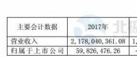 华仪电气：2017年净利润5983万元 实现扭亏为盈