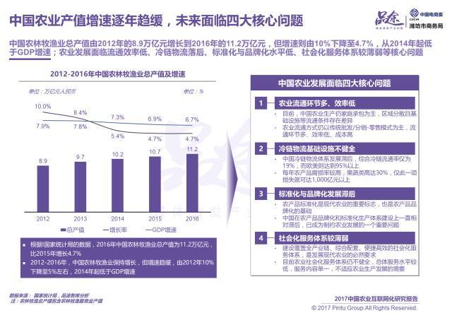 2017中国农业互联网化报告