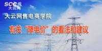 有关“降电价”的看法和建议