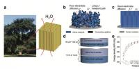 中科大与斯坦福团队联合发现提升锂电池能量密度新技术
